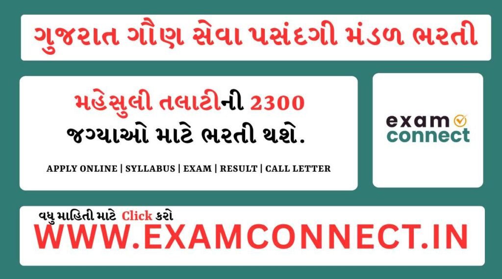 Revenue Talati Bharti 2025