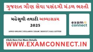 Revenue Talati Bharti 2025 Syllabus