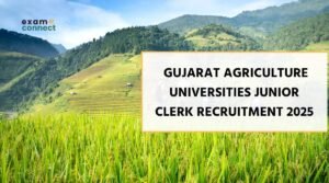 Gujarat Agriculture Universities Junior Clerk Recruitment 2025